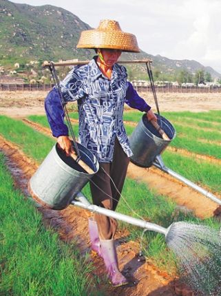 “植樹娘子軍”陶鳳交：幾十載堅持 硬把沙漠變綠洲